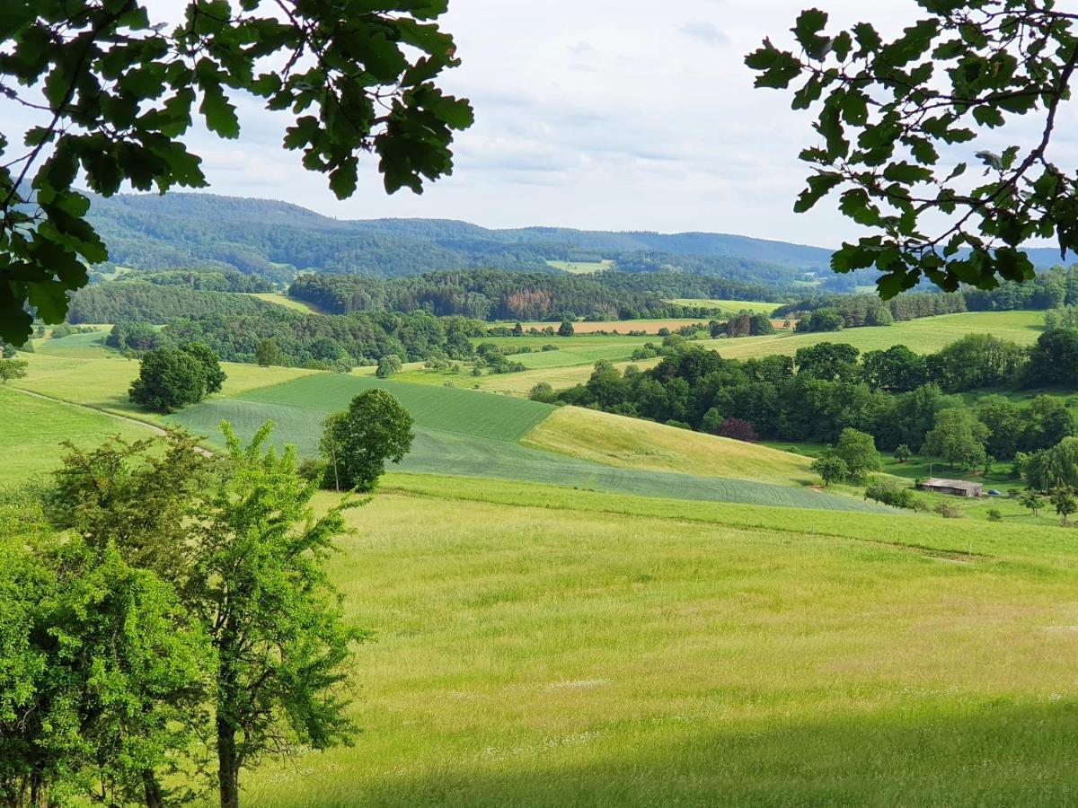 Odenwald-Lodge Mit Infrarotsauna Und E-Ladestation "Haus Purpur" Reichelsheim ภายนอก รูปภาพ