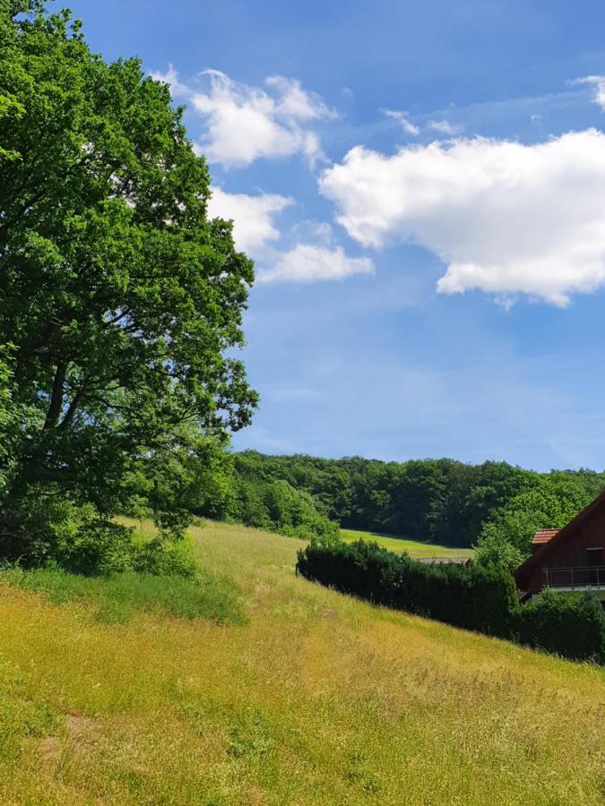 Odenwald-Lodge Mit Infrarotsauna Und E-Ladestation "Haus Purpur" Reichelsheim ภายนอก รูปภาพ