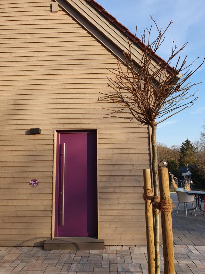 Odenwald-Lodge Mit Infrarotsauna Und E-Ladestation "Haus Purpur" Reichelsheim ภายนอก รูปภาพ