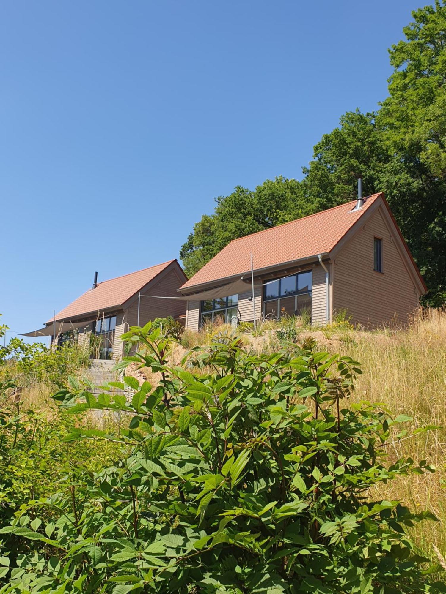 Odenwald-Lodge Mit Infrarotsauna Und E-Ladestation "Haus Purpur" Reichelsheim ภายนอก รูปภาพ