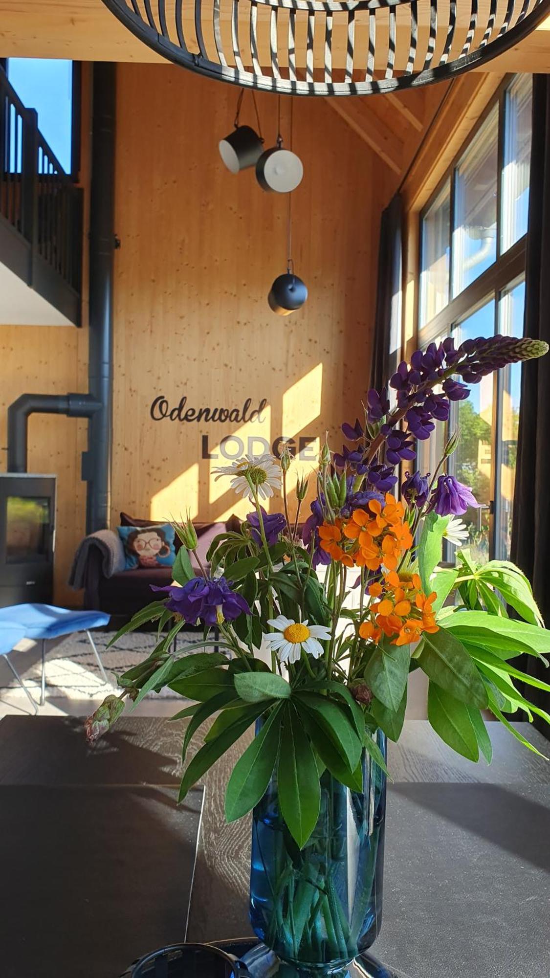 Odenwald-Lodge Mit Infrarotsauna Und E-Ladestation "Haus Purpur" Reichelsheim ภายนอก รูปภาพ