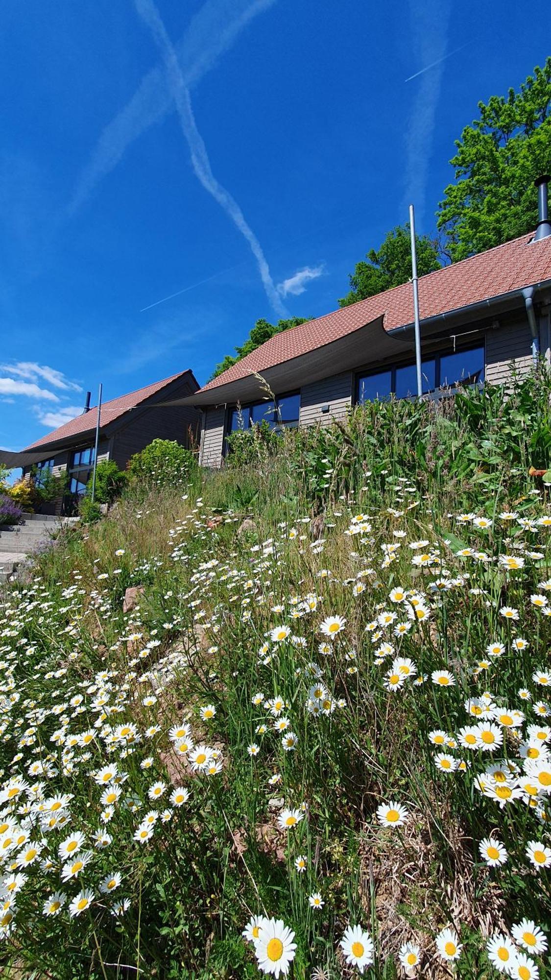 Odenwald-Lodge Mit Infrarotsauna Und E-Ladestation "Haus Purpur" Reichelsheim ภายนอก รูปภาพ